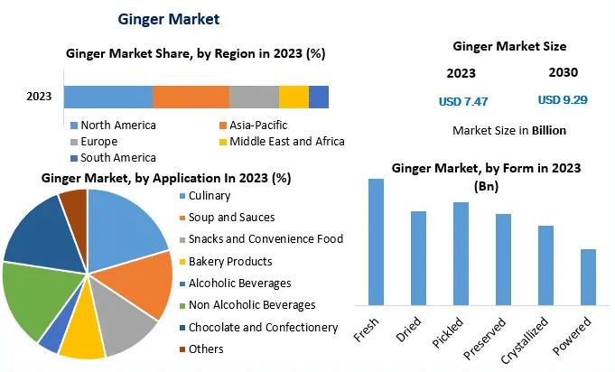 gingers Market