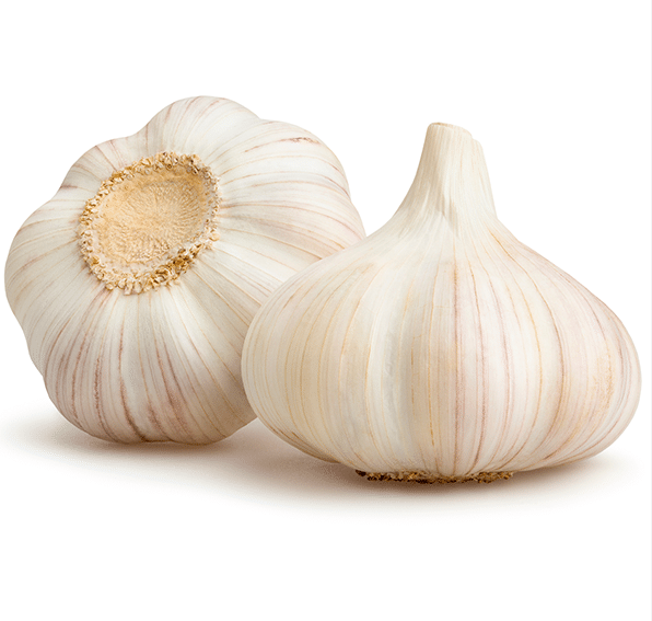 White Garlic