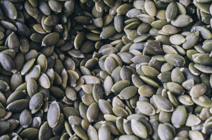 China Pumpkin Seeds